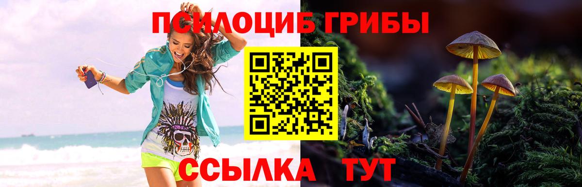 Галлюциногенные грибы мухоморы Кохма